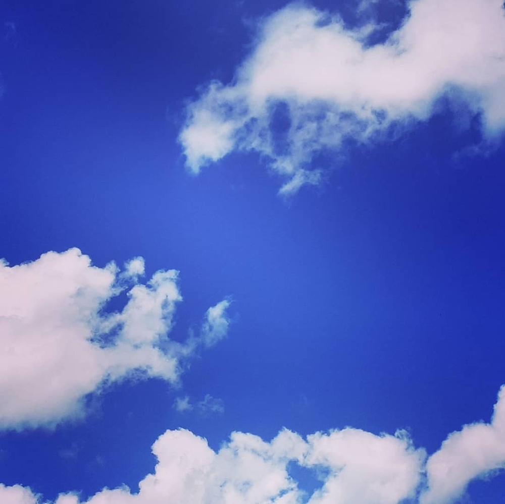 Meet your Posher, Shaina